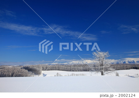 美瑛 木と雪景色03 美瑛 木と雪景色03 2002124