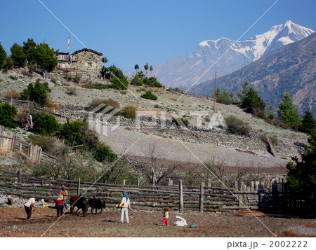 ネパール　アンナプルナ方面 2002222