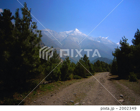 アンナプルナ ピサンからマナンへ行く途中 2002349