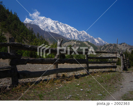 アンナプルナ　マナンからピサンへ行く途中 2002363