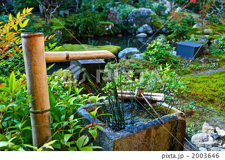 手水鉢･鹿威し･庭（実相院･池泉回遊式庭園／京都市左京区） 2003646
