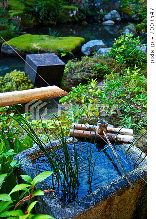 手水鉢･鹿威し･庭（実相院･池泉回遊式庭園／京都市左京区） 2003647