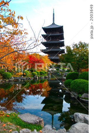 秋・東寺(教王護国寺)の「五重塔」(東寺/京都市南区) 秋・東寺(教王護国寺)の「五重塔」(東寺/京都市南区) 2003649