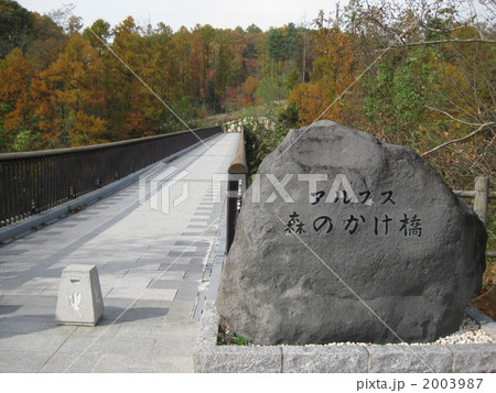 森のかけ橋 2003987