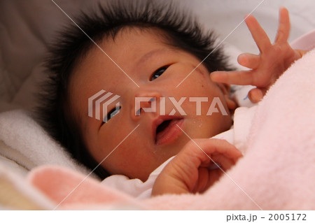 おはよう 2005172