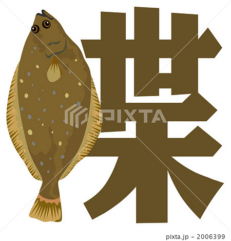 カレイ 鰈 ベクターのイラスト素材