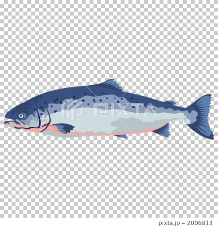 fish and shellfish, seafood, vector 2006813