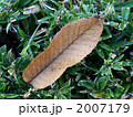 朝露（アベマキ） 2007179