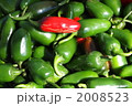 Peppers 2008523