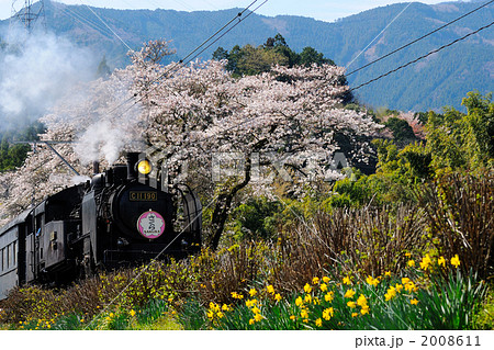 桜と蒸気機関車 2008611