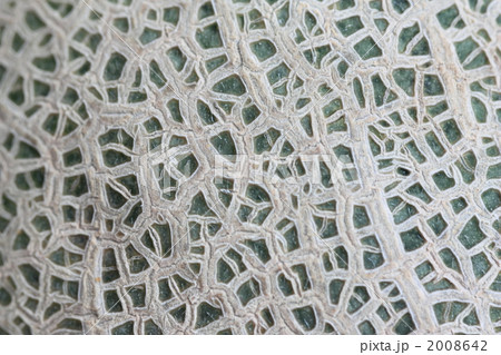 マスクメロン マスクメロン 2008642