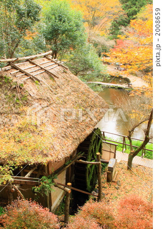 高千穂の紅葉 2008659