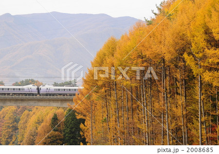 カラマツ林を行くスーパーあずさ 2008685