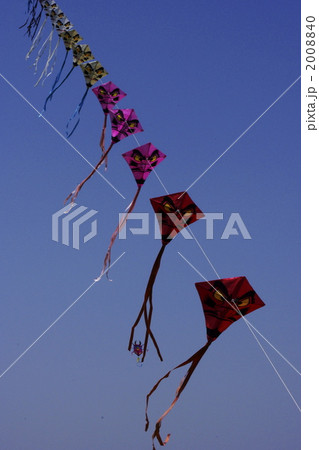凧揚げ 凧揚げ 2008840