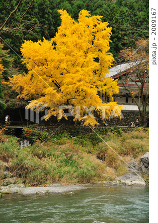 秋の御嶽渓谷 2009167