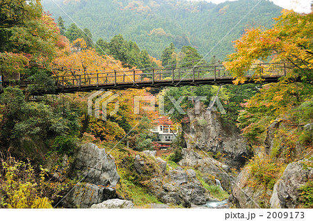 秋の鳩ノ巣渓谷・吊り橋 2009173