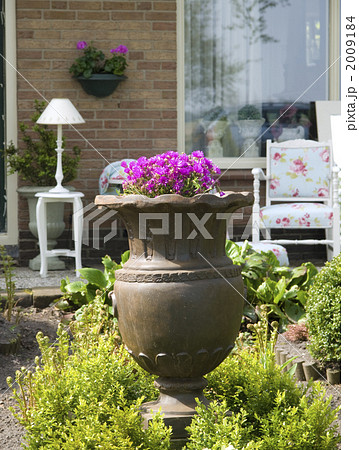 ガーデニング オランダ 鉢植え ガーデニング オランダ 鉢植え 2009184