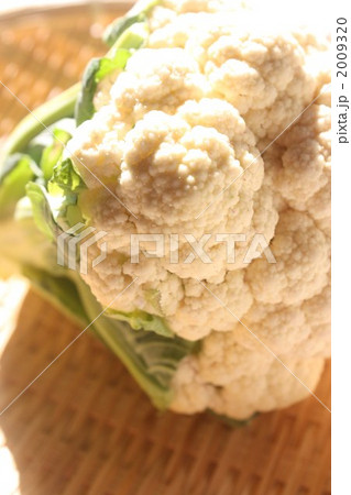 カリフラワー カリフラワー 2009320
