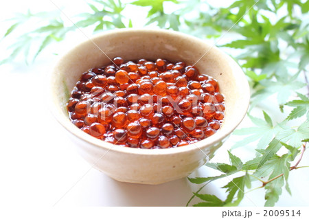 いくらの醤油漬け いくらの醤油漬け 2009514