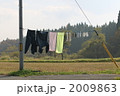 のんびり日干しすべぇ 2009863