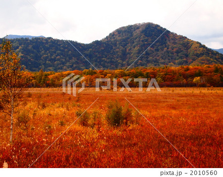 日光紅葉　戦場ヶ原 2010560