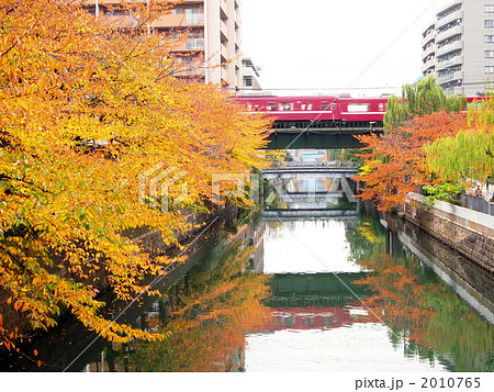 紅葉 紅葉 2010765