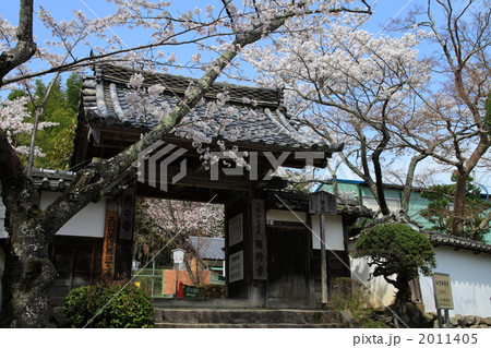 花の寺・桜の季節 2011405