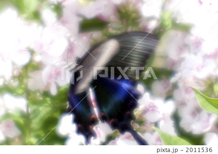 2011536