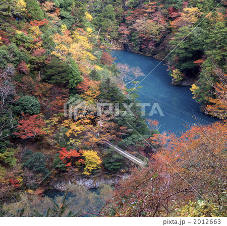 寸又峡の紅葉 2012663
