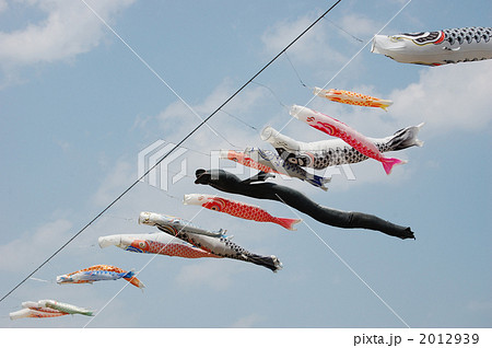 ウナギ？ 2012939