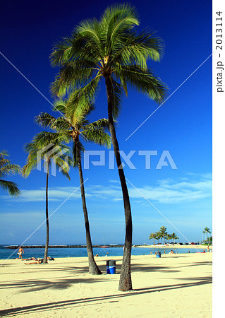 デュークカハナモクビーチ 2013114