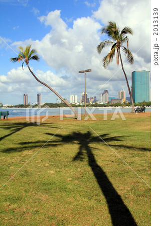 アラモアナパークの椰子の影. アラモアナパークの椰子の影. 2013139