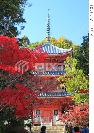 宝福寺　三重塔と紅葉 2013403