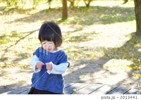 公園の木漏れ日 2013441
