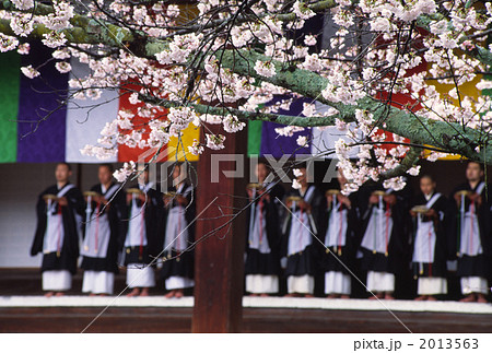 京都 光明寺の春 京都 光明寺の春 2013563