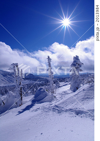 宮城蔵王の樹氷 2013984