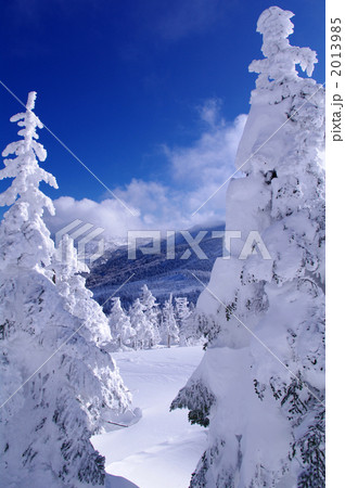宮城蔵王の樹氷 2013985