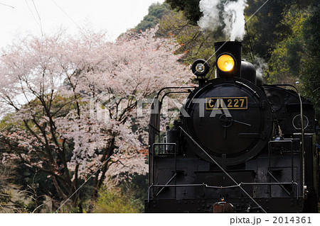 桜と蒸気機関車 2014361