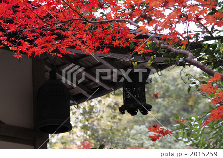 ２０１０年紅葉 2015259