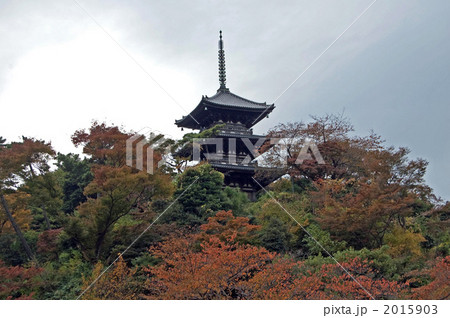 三渓園の三重塔11月その2 2015903