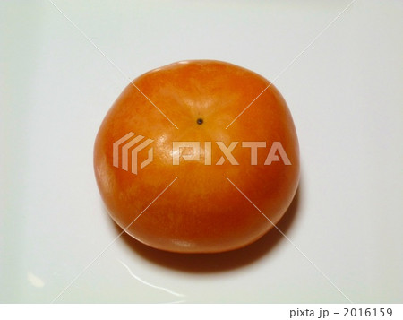 柿 2016159