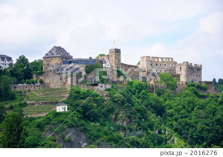 ドイツ　ライン渓谷　ラインフェルス城 2016276