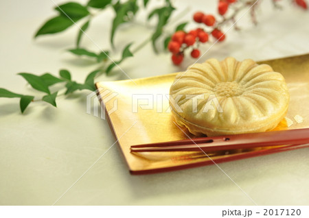 南天の実と葉をバックに金箔の和食器にのった最中 南天の実と葉をバックに金箔の和食器にのった最中 2017120