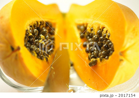 パパイヤ 2017154