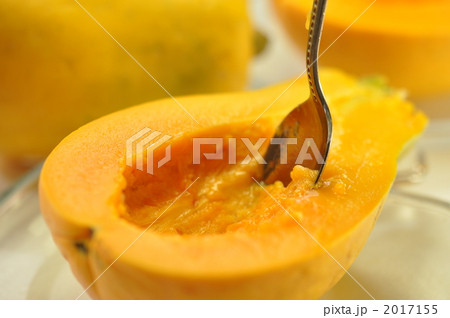 パパイヤ 2017155