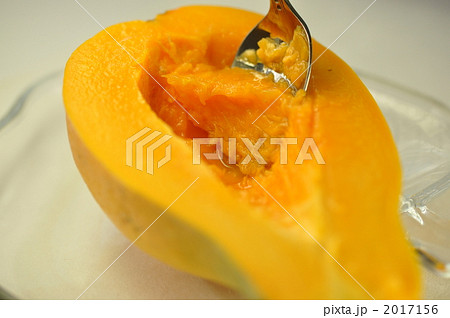 パパイヤ パパイヤ 2017156