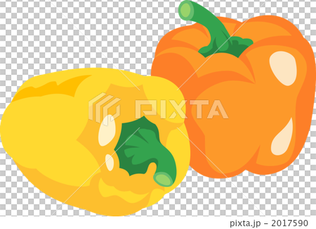 パプリカ　緑黄野菜　野菜のイラスト 2017590