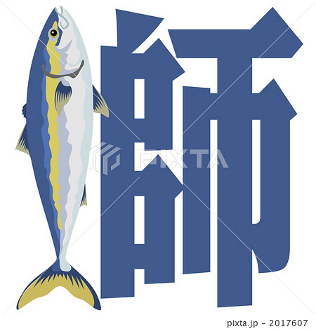 鰤　ブリ　サカナのイラスト 2017607