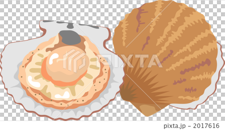 貝　ホタテガイ　帆立貝　サカナのイラスト 2017616