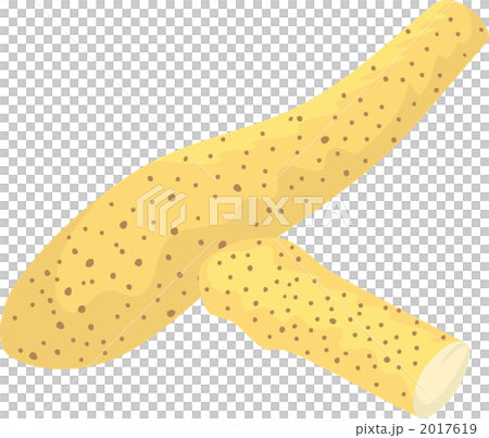 やまいも　山芋　野菜のイラスト 2017619